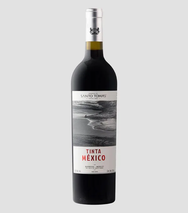 Botella de Vino Tinto Barbera, Merlot del Valle de Santo Tomás, 750 ml