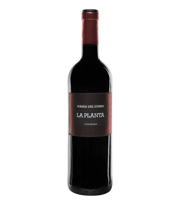 Botella de Vino Tinto Tempranillo, La Planta, España, 750 ml
