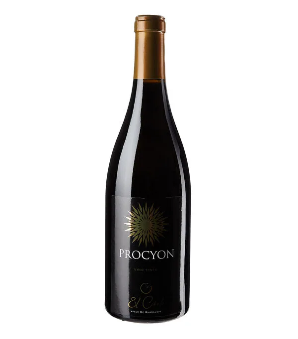 Botella de Vino Tinto Uva Ensamble, 750 ml