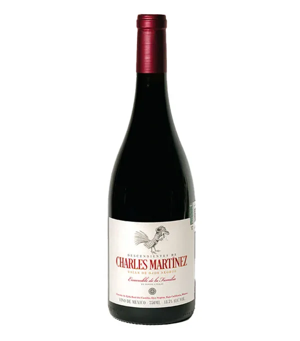 Botella de Vino Tinto Descendientes de Charles Martinez Malbec, Carbernet, Shiraz, Mexico, 750 ml