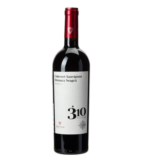 Botella de Vino tinto Ensamble 310 Atitudine, Moldova, 750 ml