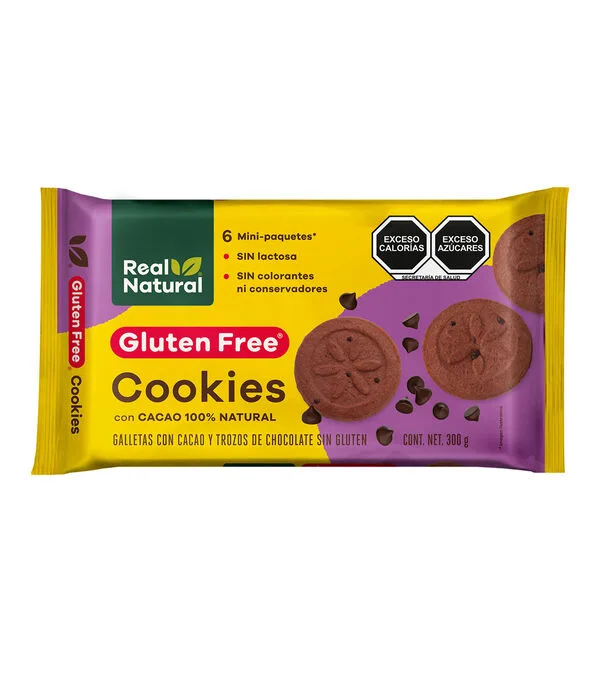 Botella de Galletas Chispas de Chocolate, 300 gr