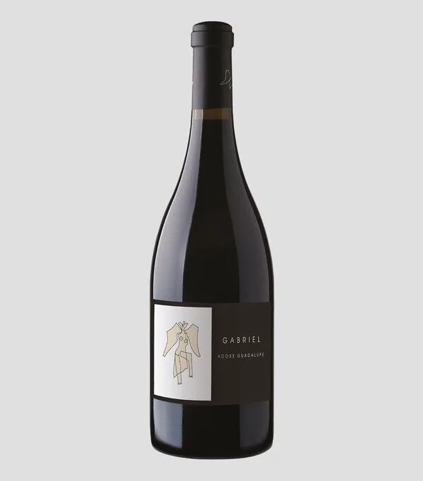 Botella de Vino tinto merlot Gabriel, México, 750 ml