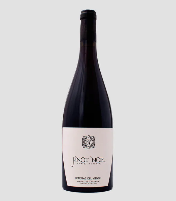Botella de BODEGAS DEL VIENTO PINOT NOIR