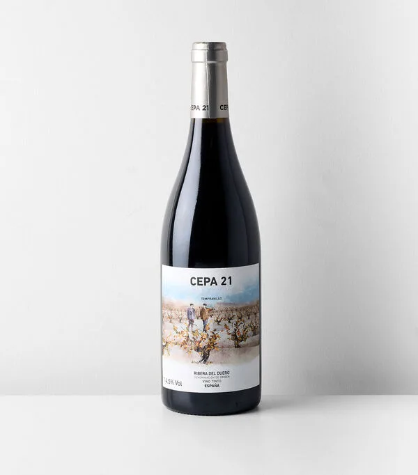 Botella de Vino tinto tempranillo Cepa 21, España, 750 ml